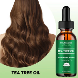 YOUNGCOME Tea tree essential oil for skin care, Repairing & Nourishing Hair  Strengthens, Hydrates & Revitalizes Damaged Hair